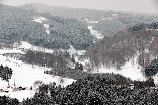 吉林松岭雪村冬季东北农村雪景