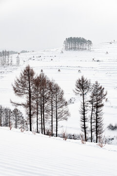 吉林松岭雪村冬季东北农村雪景