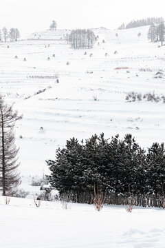 吉林松岭雪村冬季东北农村雪景