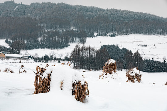 吉林松岭雪村冬季东北农村雪景