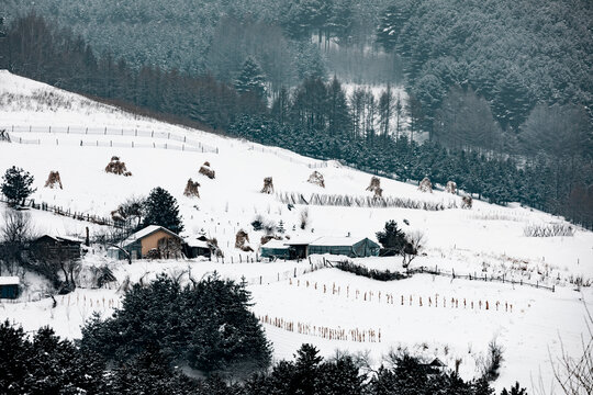 吉林松岭雪村冬季东北农村雪景