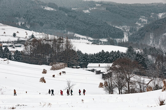 吉林松岭雪村冬季东北农村雪景