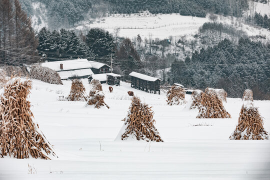 吉林松岭雪村冬季东北农村雪景