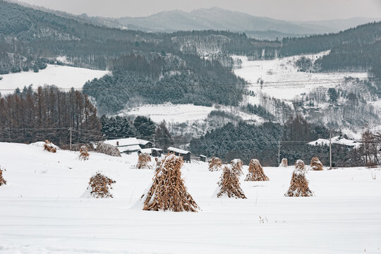 吉林松岭雪村冬季东北农村雪景