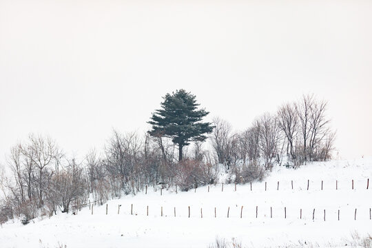 吉林松岭雪村冬季东北农村雪景