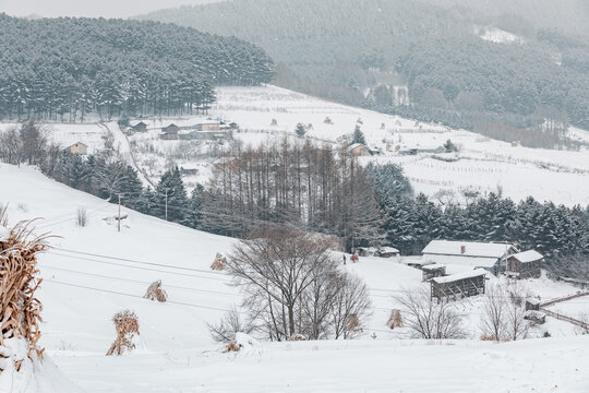 吉林松岭雪村冬季东北农村雪景