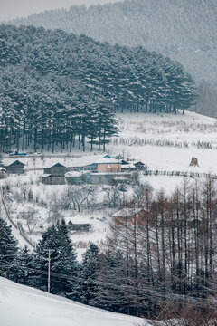 吉林松嶺雪村冬季東北農村雪景