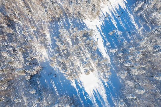 航拍东北雪景旅游森林雪后俯拍