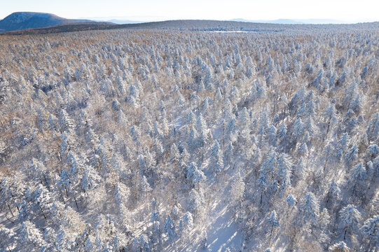 航拍东北雪景旅游森林雪后俯拍