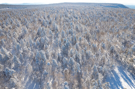 航拍东北雪景旅游森林雪后俯拍