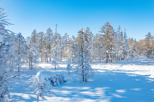 航拍东北雪景旅游森林雪后俯拍