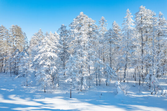 航拍东北雪景旅游森林雪后俯拍