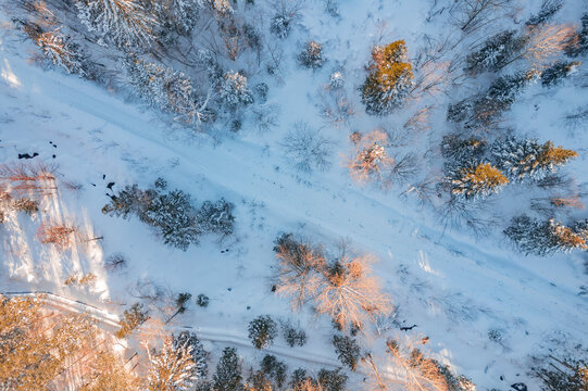 航拍东北雪景旅游森林雪后俯拍