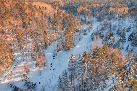 航拍东北雪景旅游森林雪后俯拍