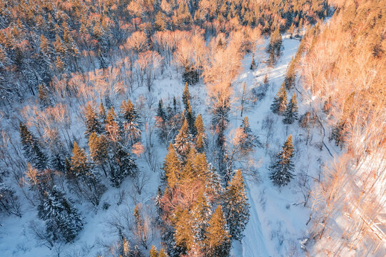 航拍东北雪景旅游森林雪后俯拍