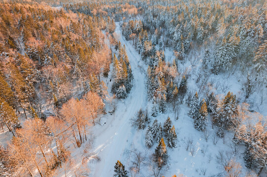 航拍东北雪景旅游森林雪后俯拍