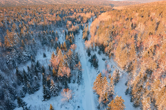 航拍东北雪景旅游森林雪后小路