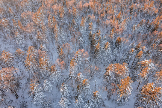 航拍东北雪景旅游森林雪后俯拍