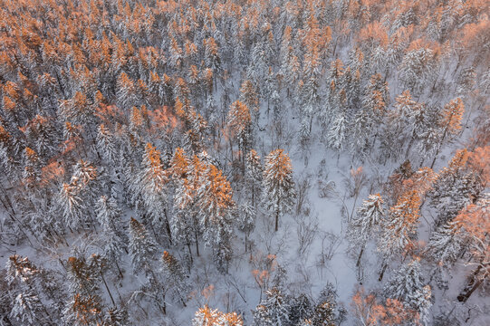 航拍东北雪景旅游森林雪后俯拍