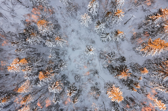 航拍东北雪景旅游森林雪后俯拍