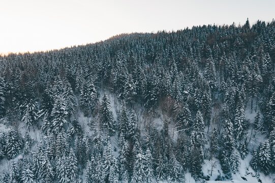 航拍雪乡雪景旅游民宿东北农村