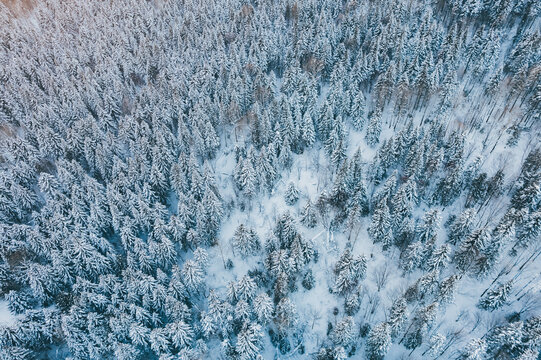 航拍雪乡雪景旅游民宿东北农村