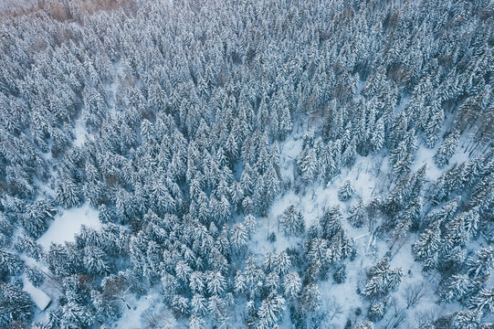 航拍雪乡雪景旅游民宿东北农村