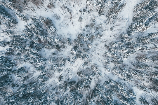 航拍雪乡雪景旅游民宿东北农村