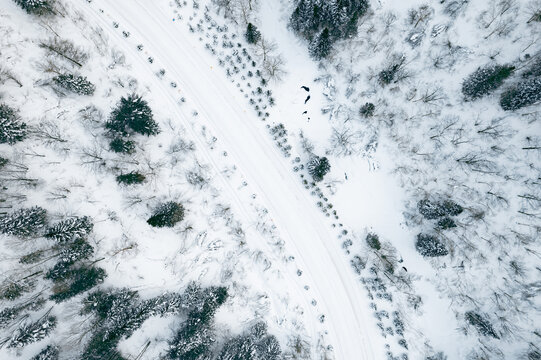 航拍雪乡雪景旅游民宿东北农村