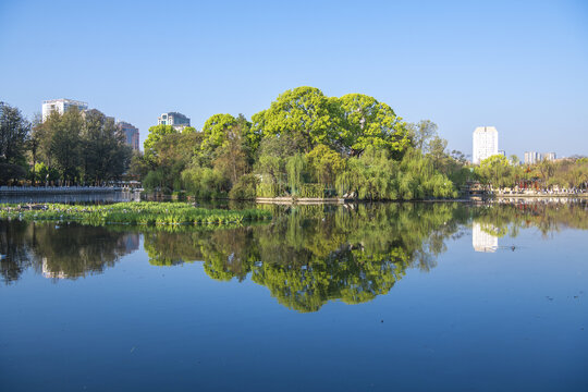 翠湖