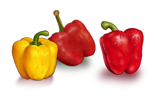 辣椒蔬菜水果手绘插图