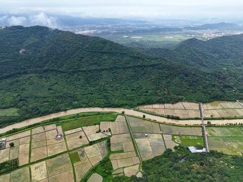 田野山林