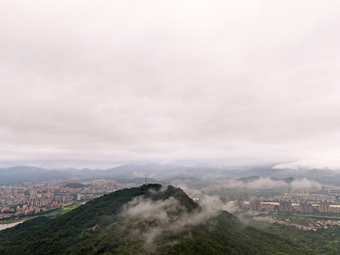 山林城市