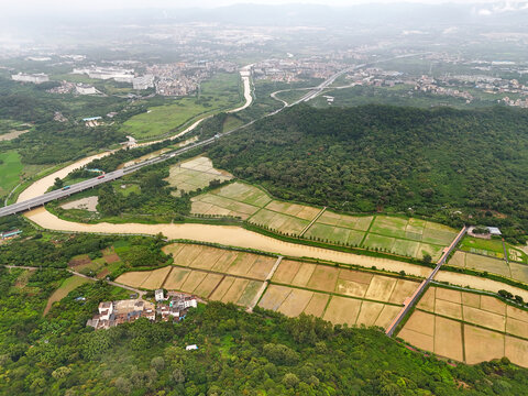 田野山林