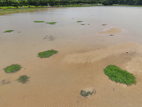 阳光河水浅滩