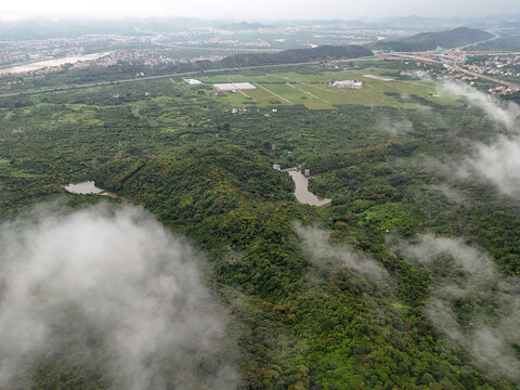 雨雾山林