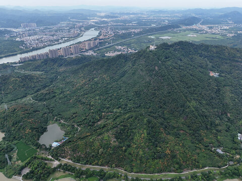 山林城市