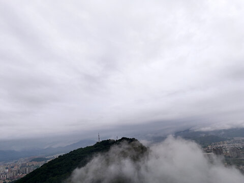 城市雨雾山林