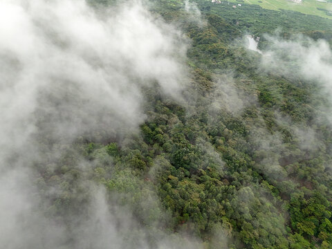 雨雾山林