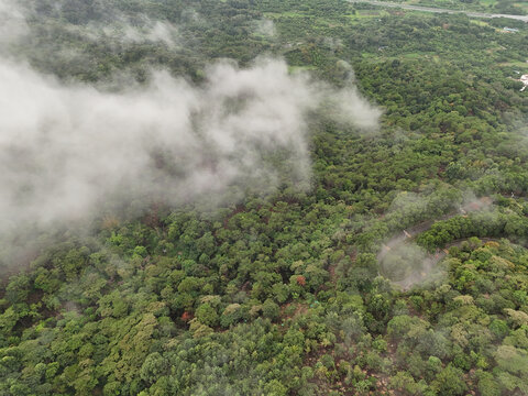 山峰树林雨雾