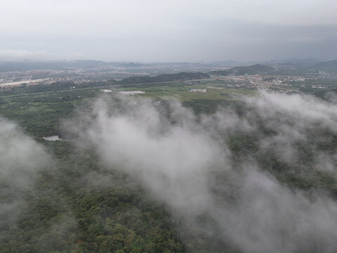 田野山林