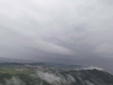 雨雾山林