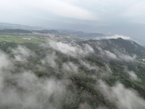 雨雾山林