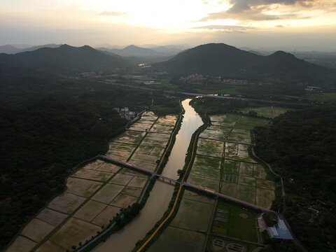 山区稻田河流