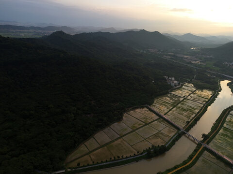 山区稻田