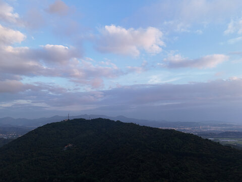 山林城镇