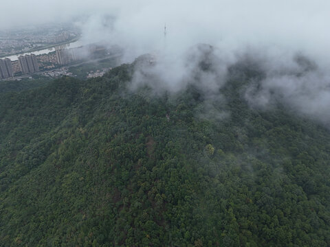 风云岭森林公园