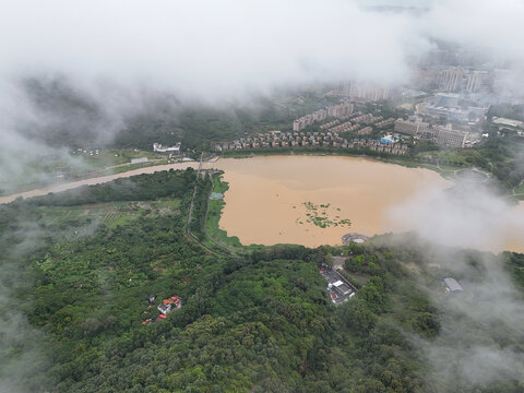 雨雾下的城市