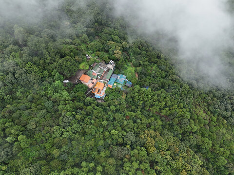 雨雾山林