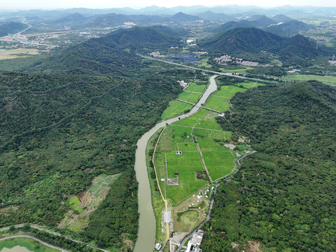 山区水稻种植